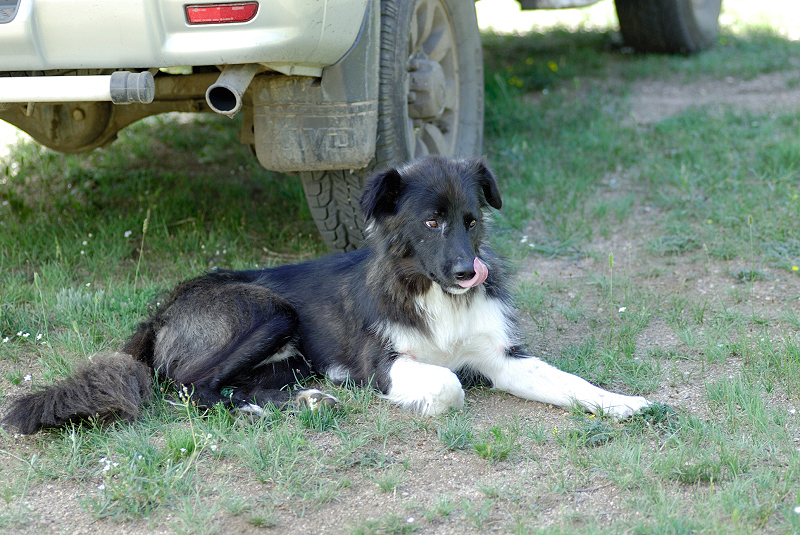 image0242