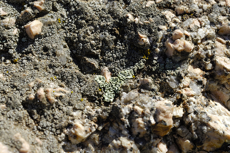 image0245