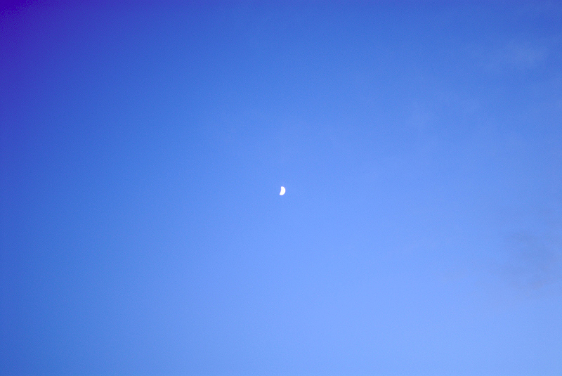 image0256