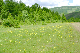 image0096