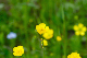 image0098