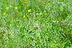 image0099
