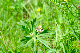 image0100