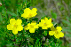 image0101