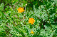 image0103