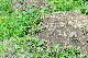 image0105