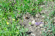 image0106