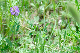 image0125