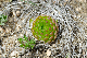 image0161