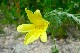 image0170