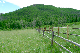 image0176
