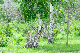 image0177