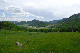image0190
