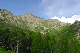 image0194