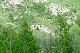 image0195