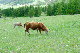 image0197