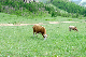 image0198