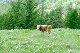 image0199