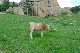 image0200