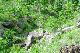 image0203