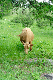 image0206