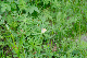 image0207