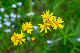 image0208