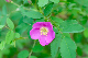 image0210
