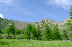 image0212