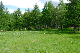 image0213