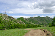 image0214
