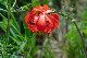 image0216