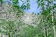 image0217