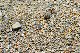 image0218