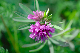 image0221
