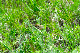 image0222