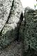 image0229