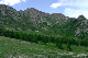 image0237