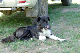 image0242