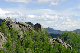 image0243