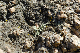 image0245