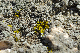 image0246