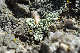 image0247