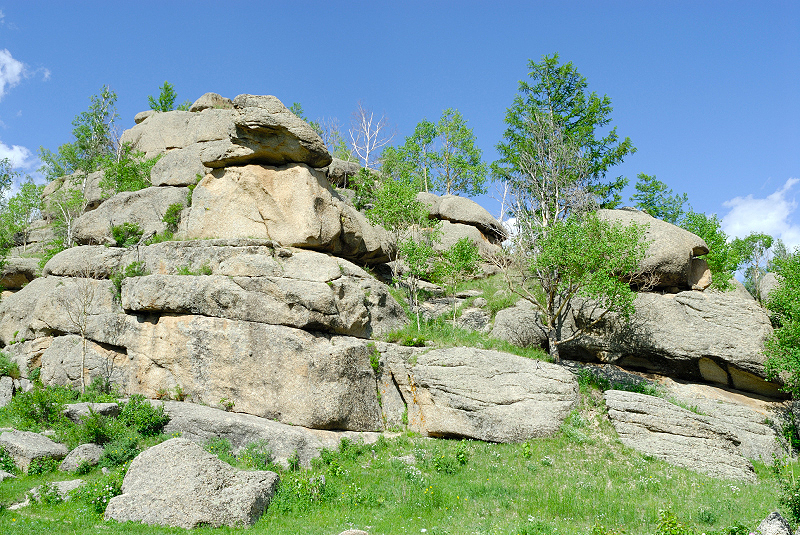 image0125