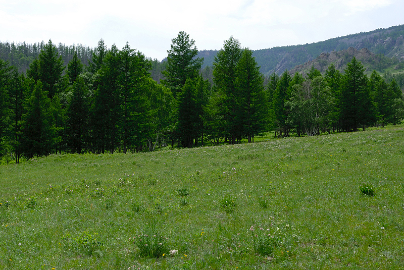 image0124