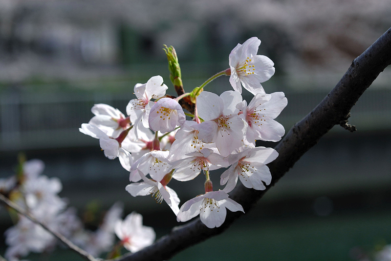 image0104