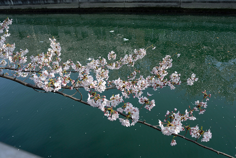 image0107