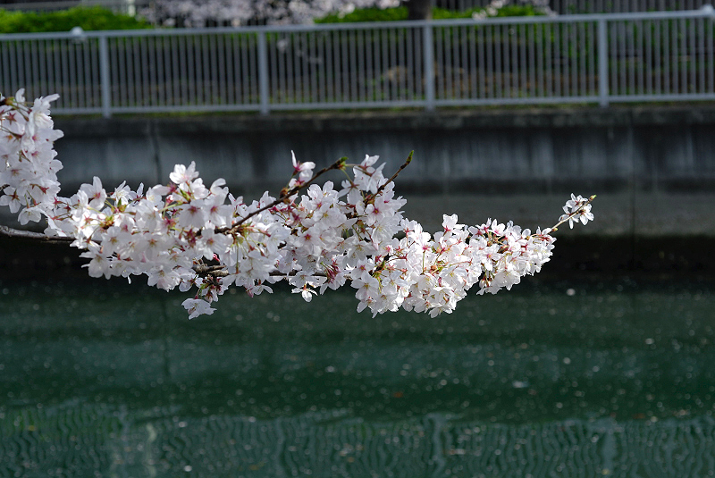 image0109