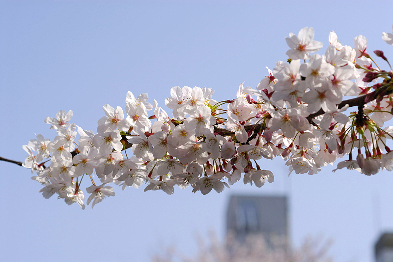 image0111