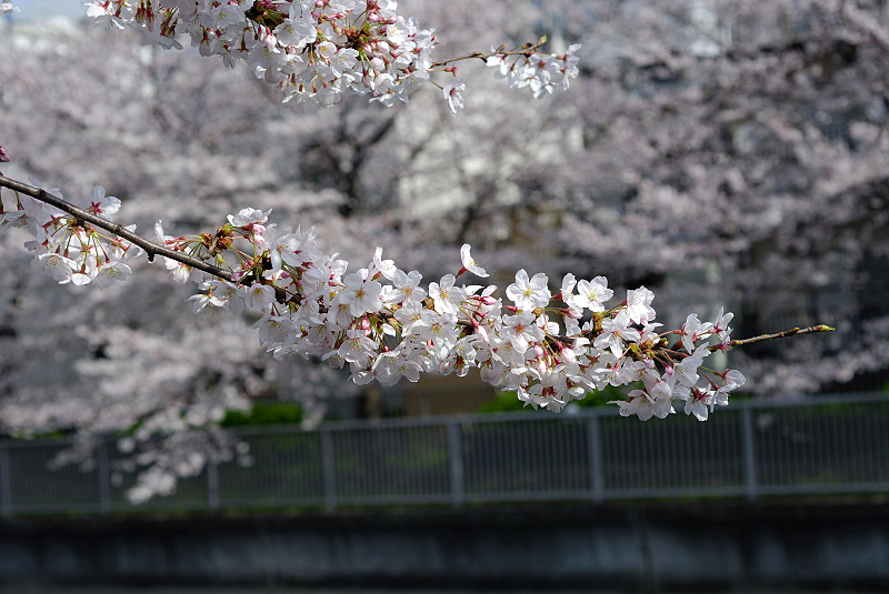 image0119